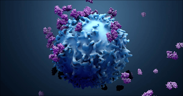 Inline Image